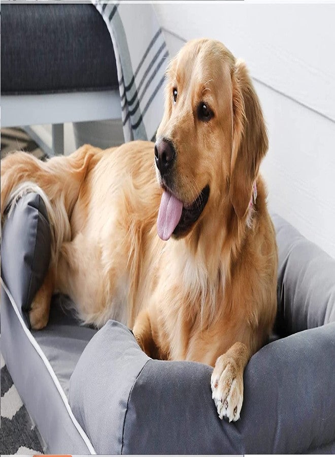 PAWSOME Ultimate Dog Bed | Solid CertiPUR-Indian Foam | Multiple Sizes, Medium Firmness Bolster, Waterproof Liner, Breathable Fabric - Image 2